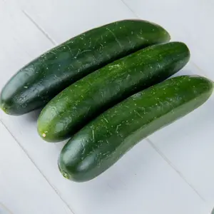 Fresh zucchini