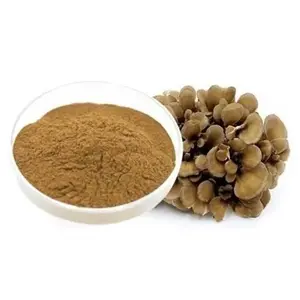 Mushroom Extract Herbal