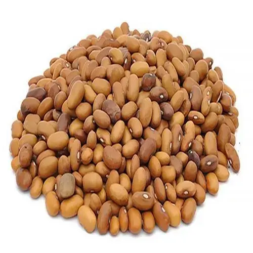 Dew garam