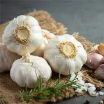 Fresh garlic