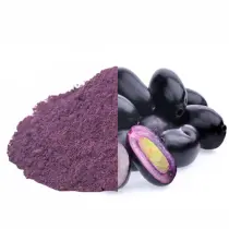 Jamun pulp powder