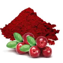 Cranberry powder