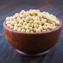 soybean