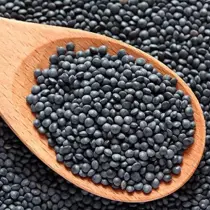 Beluga lentils