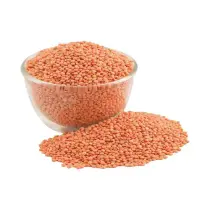 Masoor dal