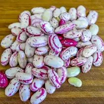 Cran berry beans