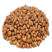 Dew garam