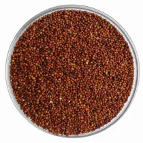 Ragi